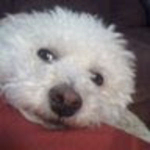 Meet your Posher, Jill